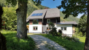 Ferien-Berghaus, Donnersbachwald, Österreich